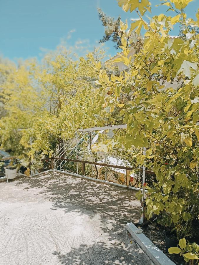 Heras Garden Vasilikí Eksteriør billede